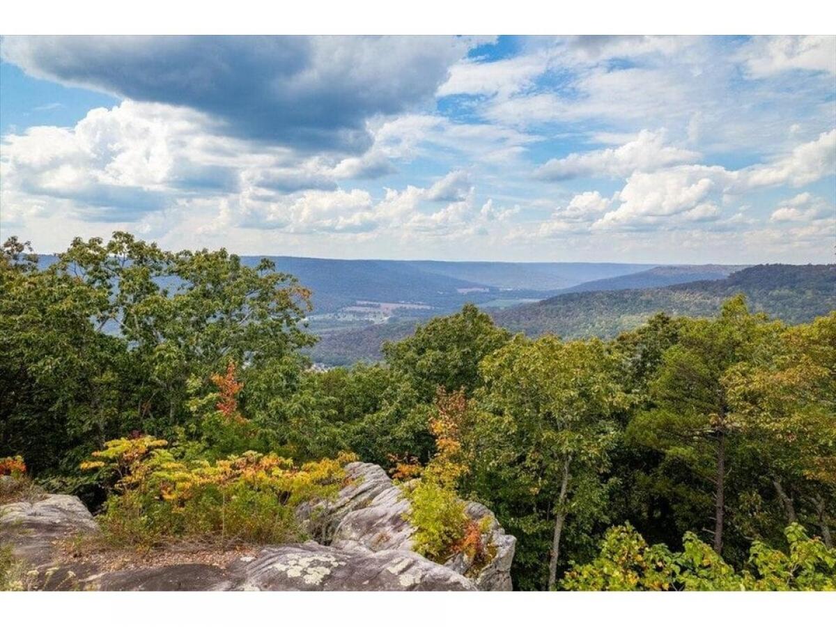 Picture of Residential Land For Sale in Jasper, Tennessee, United States