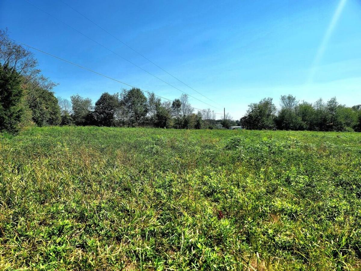 Picture of Residential Land For Sale in Flat Rock, Alabama, United States