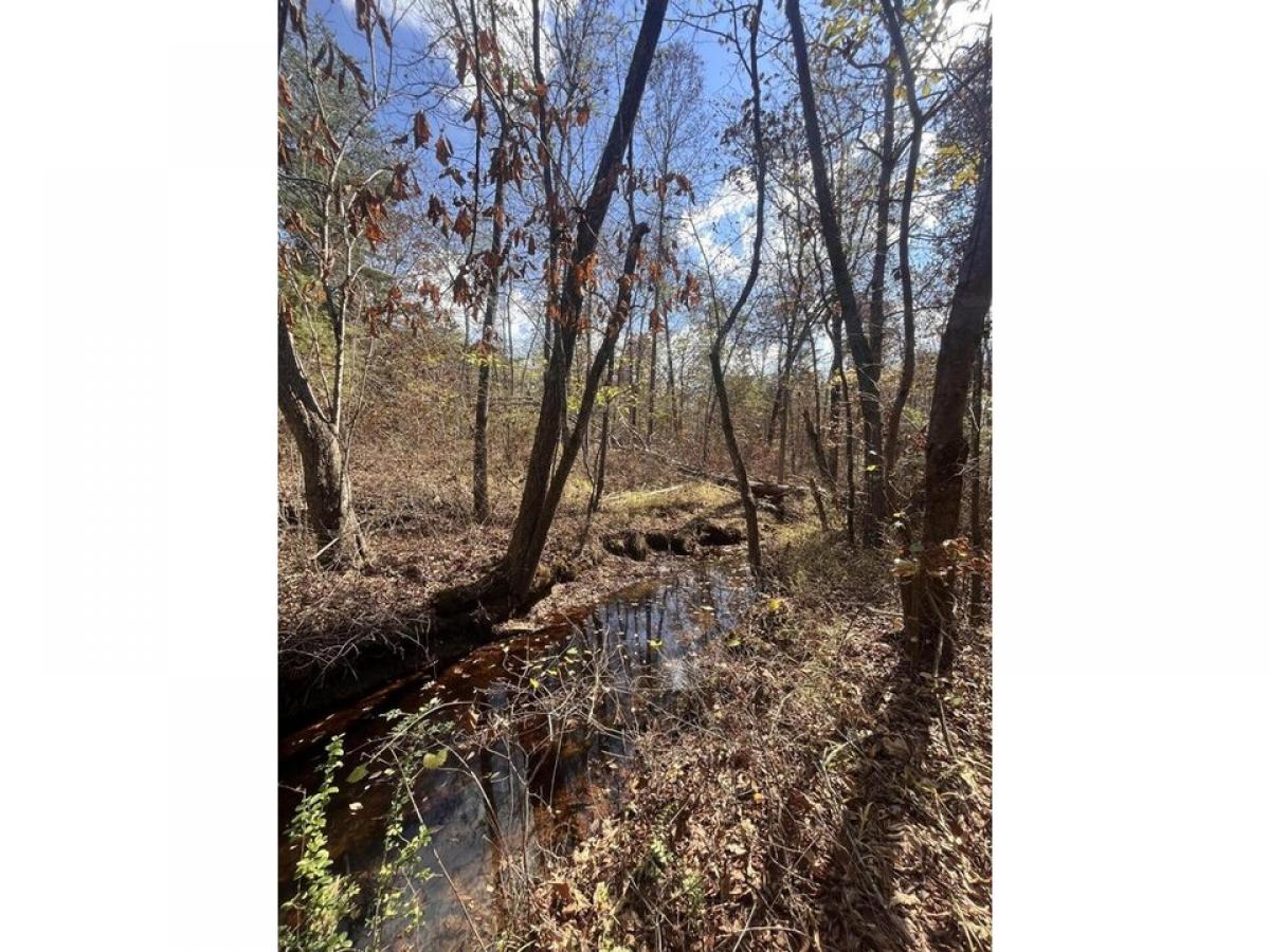 Picture of Residential Land For Sale in Bryant, Alabama, United States