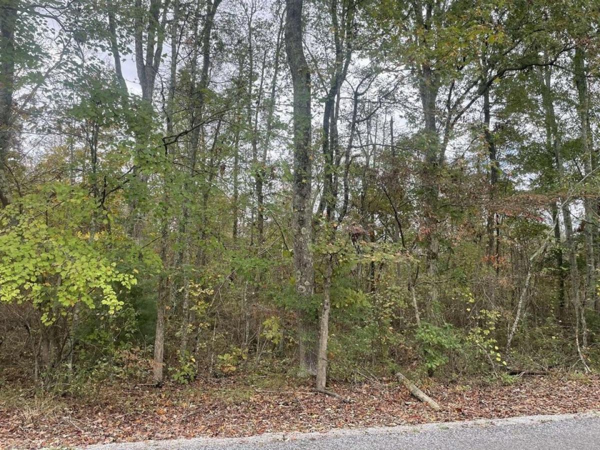 Picture of Residential Land For Sale in Bryant, Alabama, United States