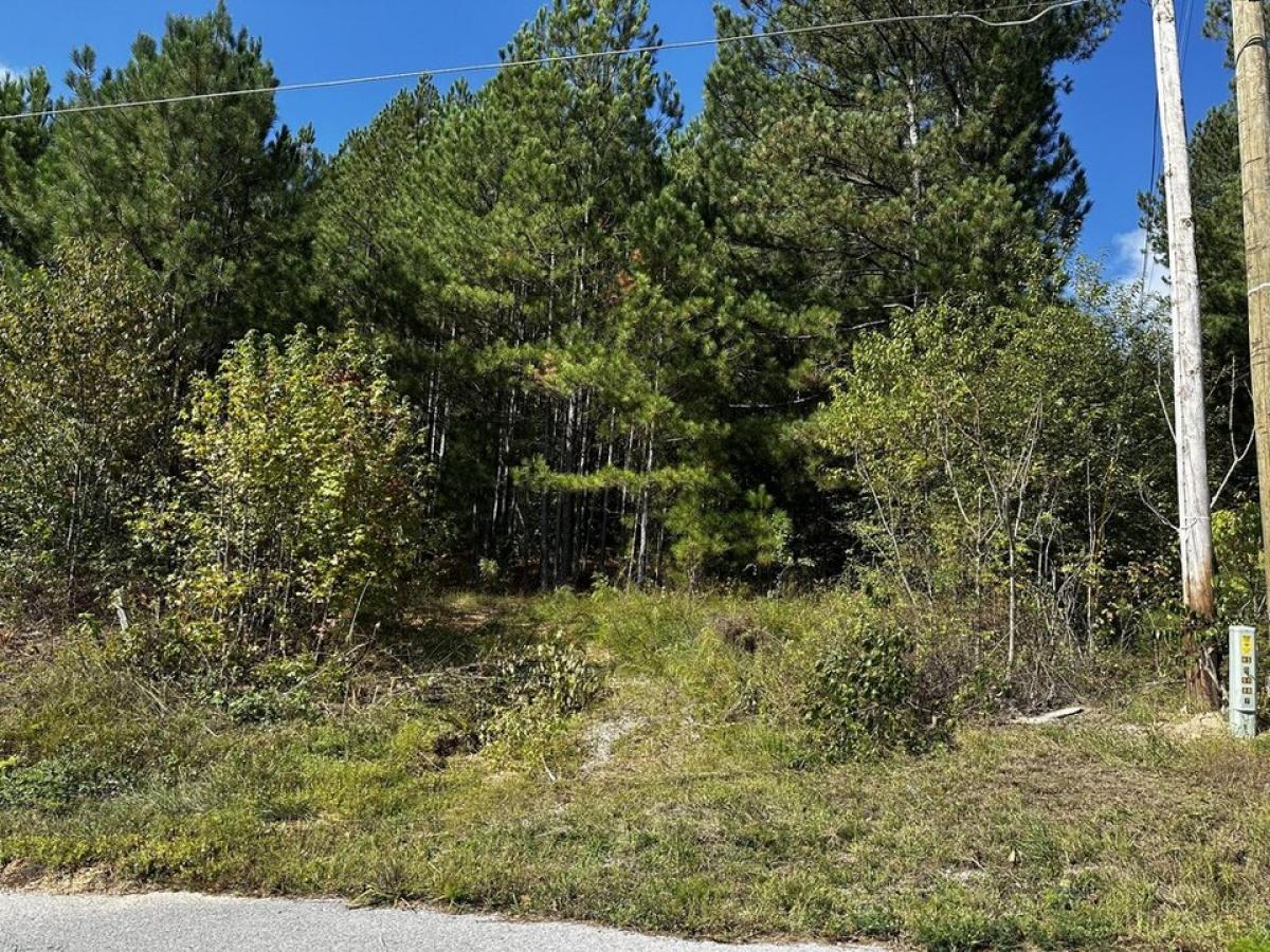 Picture of Residential Land For Sale in Ringgold, Georgia, United States