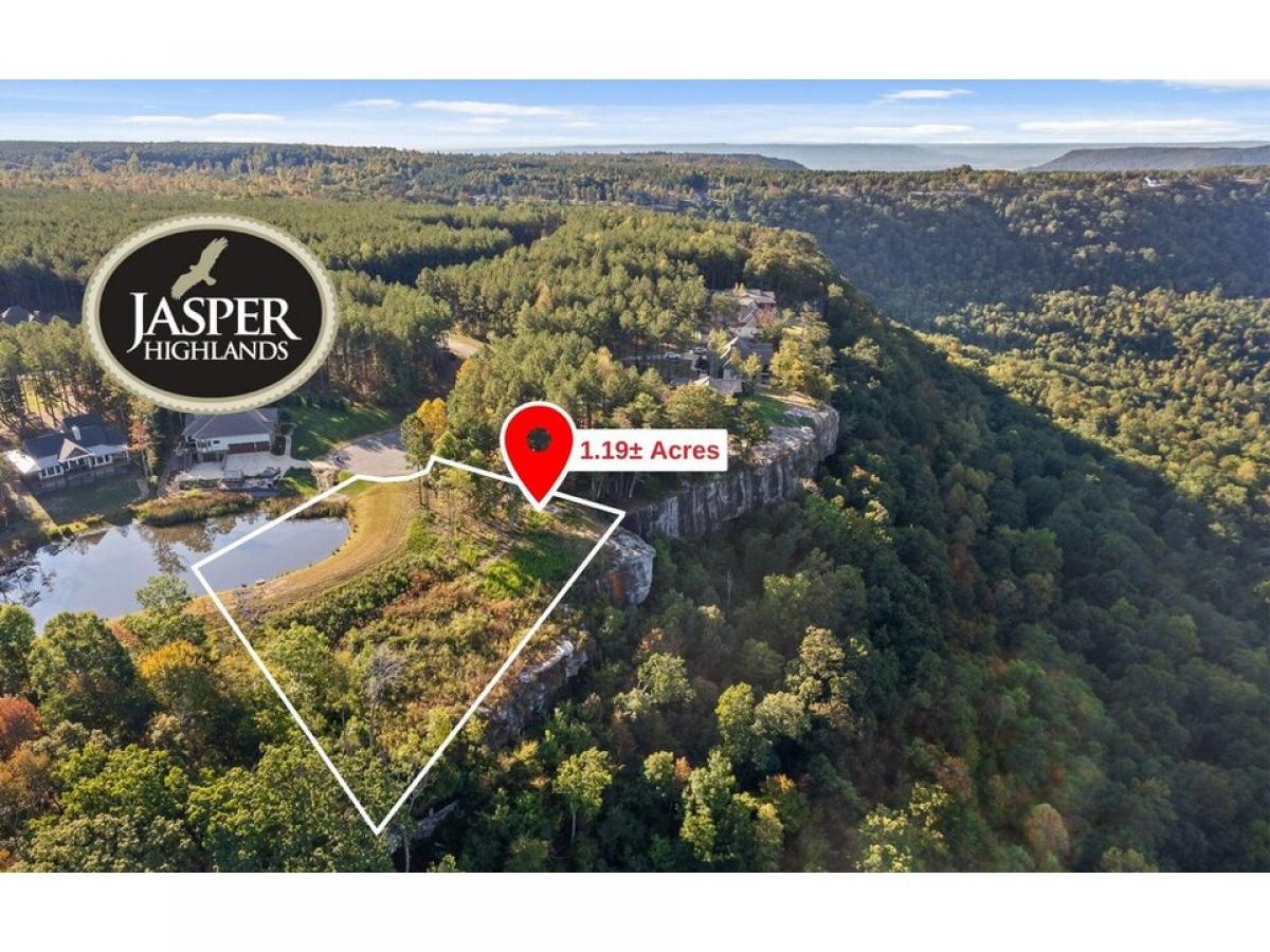 Picture of Residential Land For Sale in Jasper, Tennessee, United States