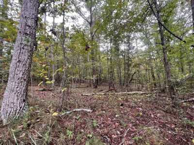 Residential Land For Sale in Mentone, Alabama