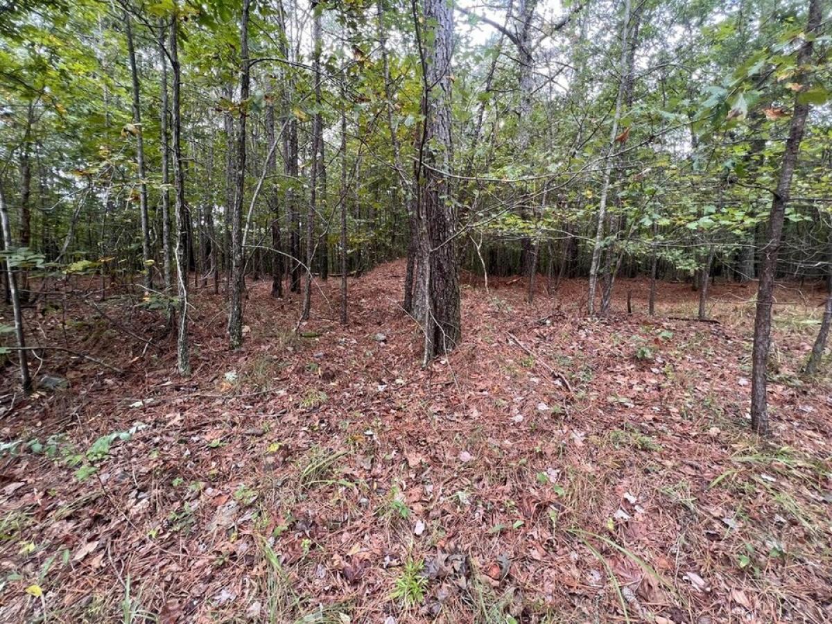 Picture of Residential Land For Sale in Mentone, Alabama, United States