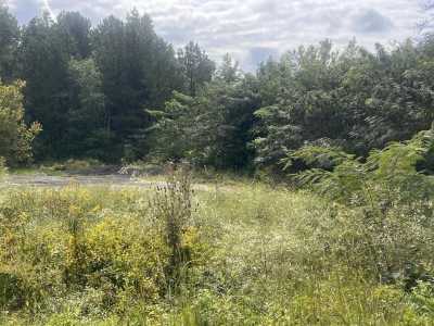 Residential Land For Sale in Valley Head, Alabama