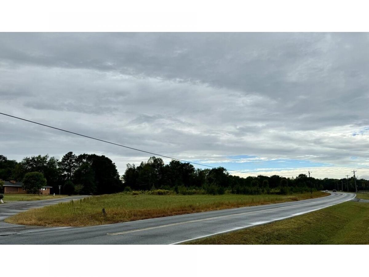 Picture of Residential Land For Sale in Dalton, Georgia, United States