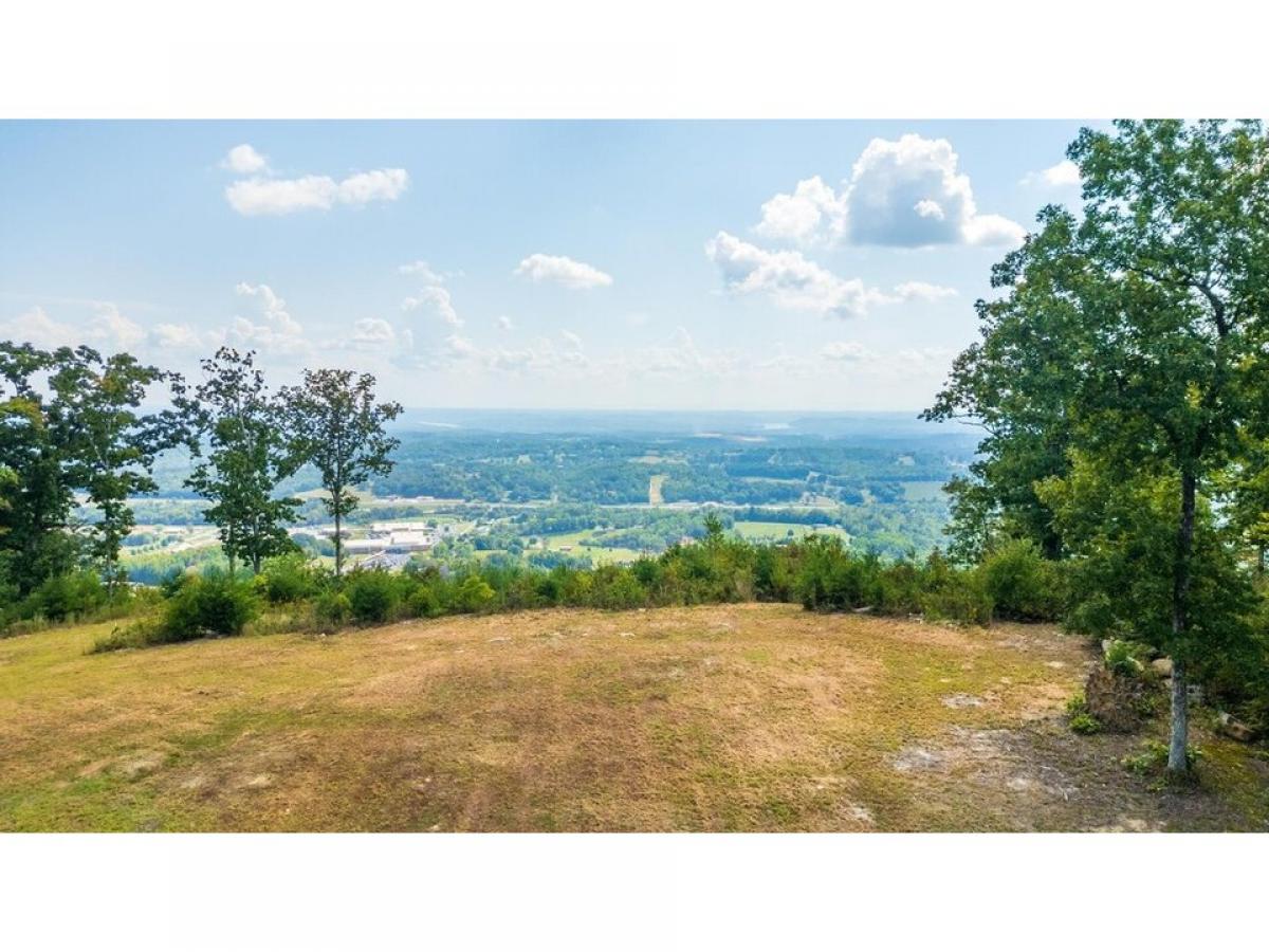 Picture of Residential Land For Sale in Evensville, Tennessee, United States