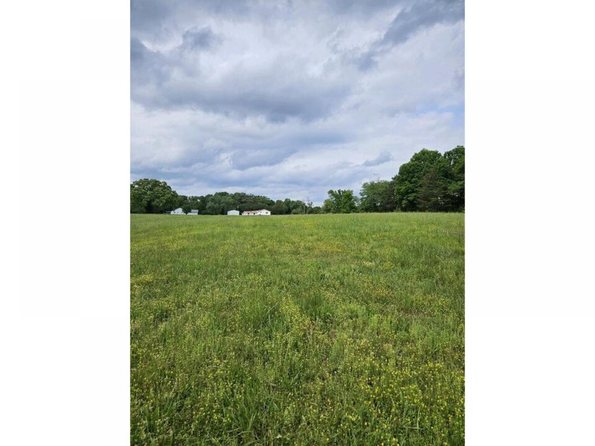 Picture of Residential Land For Sale in Flat Rock, Alabama, United States