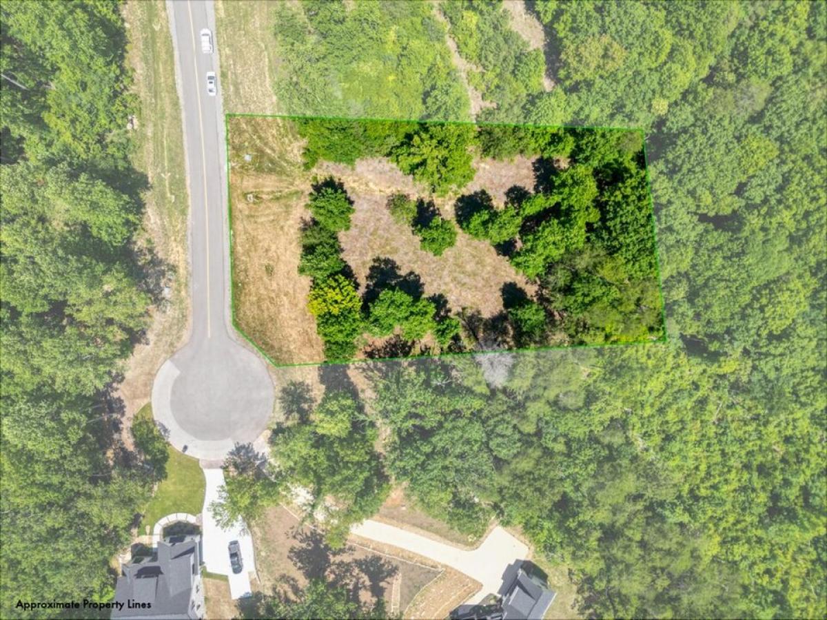 Picture of Residential Land For Sale in Jasper, Tennessee, United States