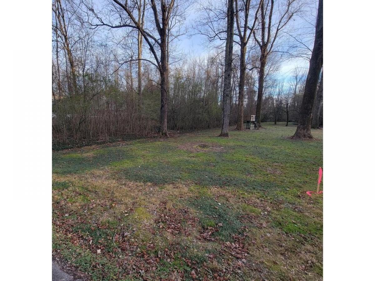 Picture of Residential Land For Sale in Flintstone, Georgia, United States