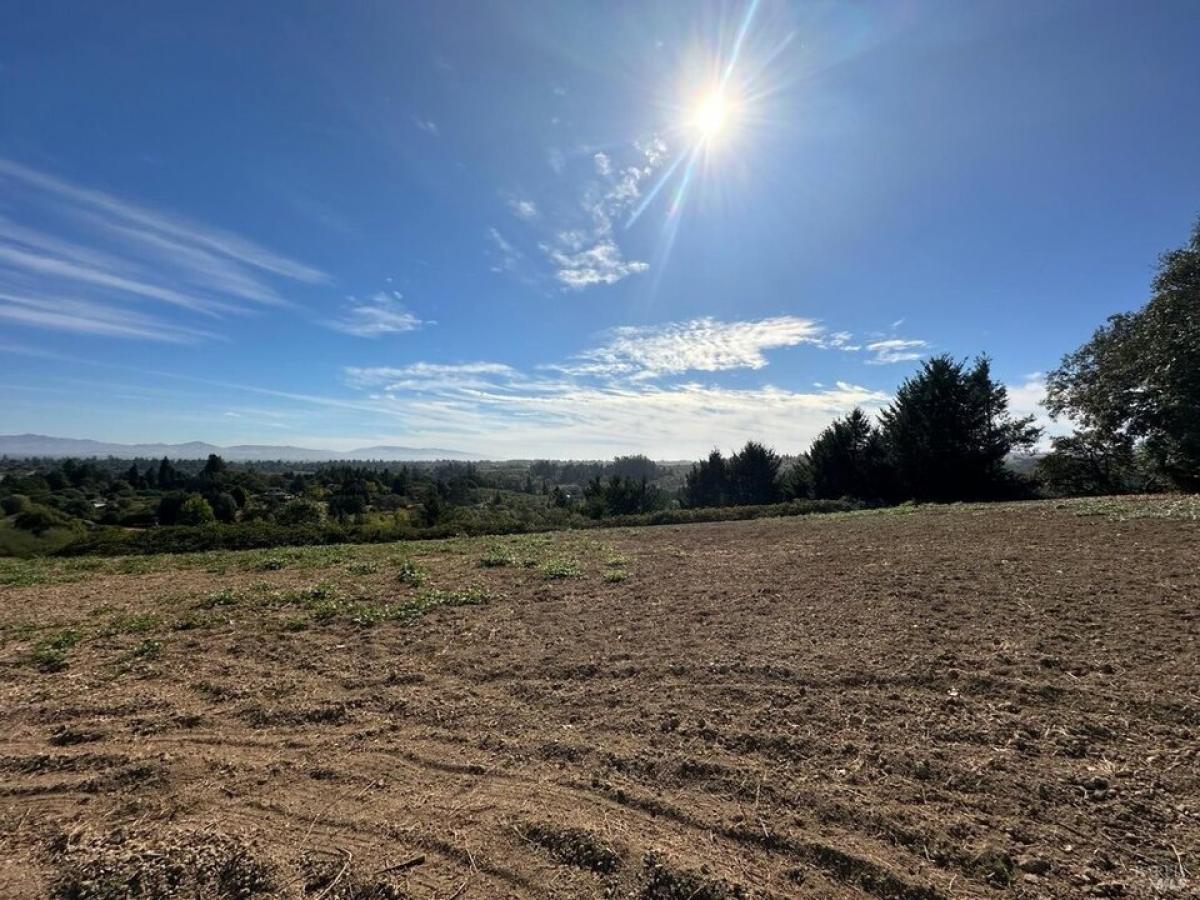 Picture of Residential Land For Sale in Sebastopol, California, United States