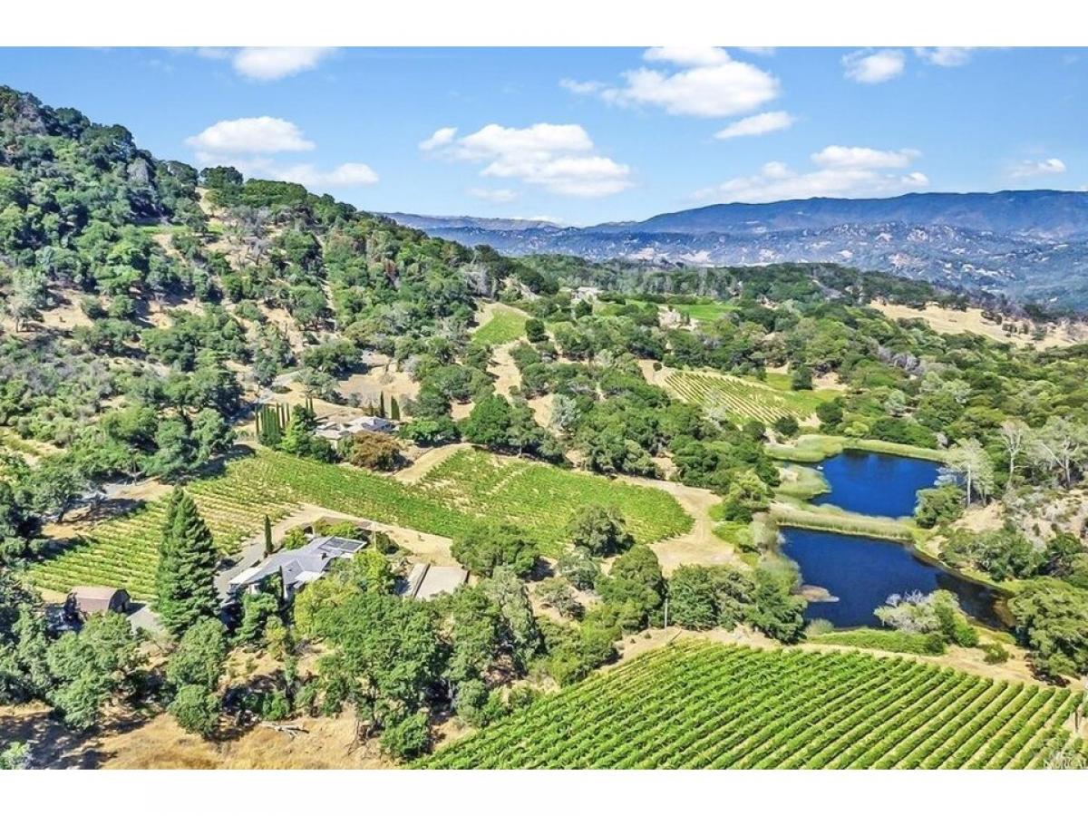 Picture of Home For Sale in Napa, California, United States