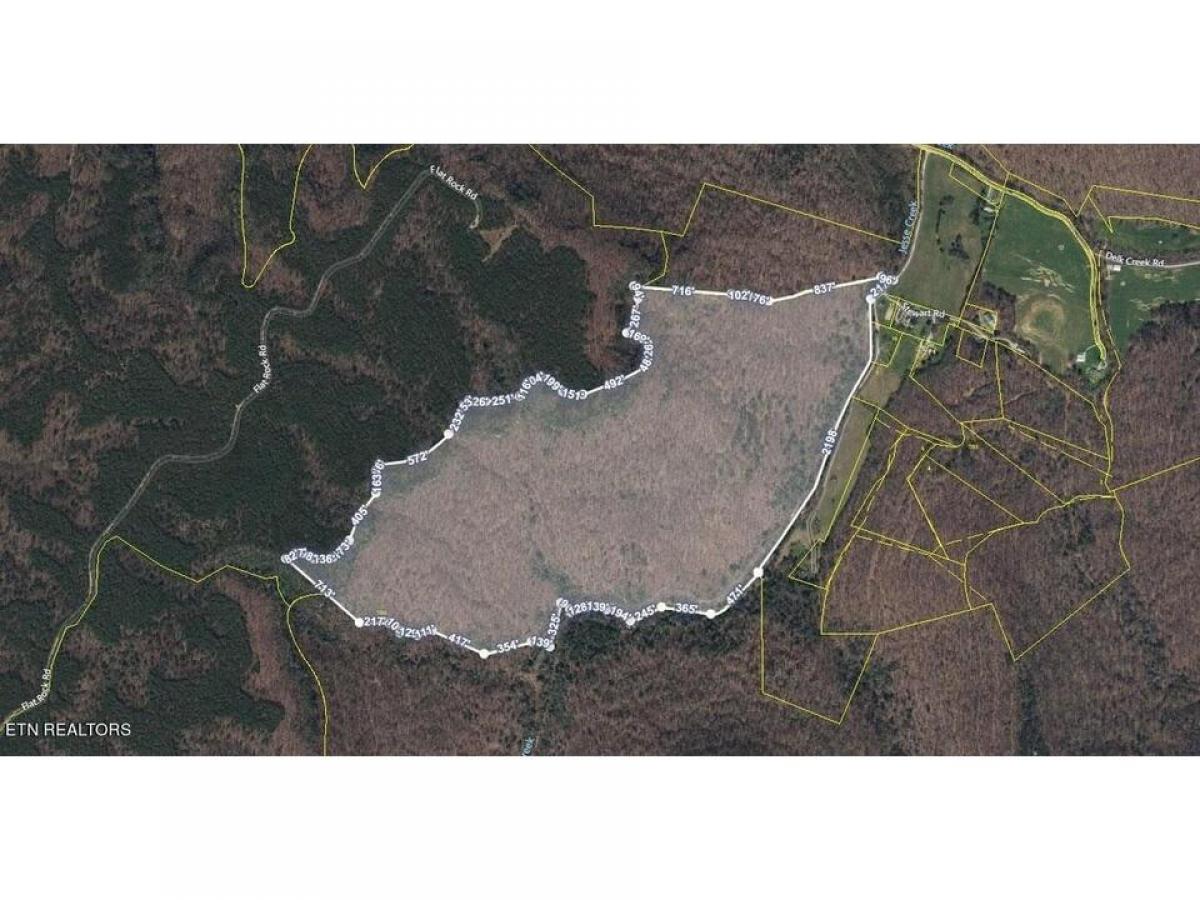 Picture of Residential Land For Sale in Pall Mall, Tennessee, United States