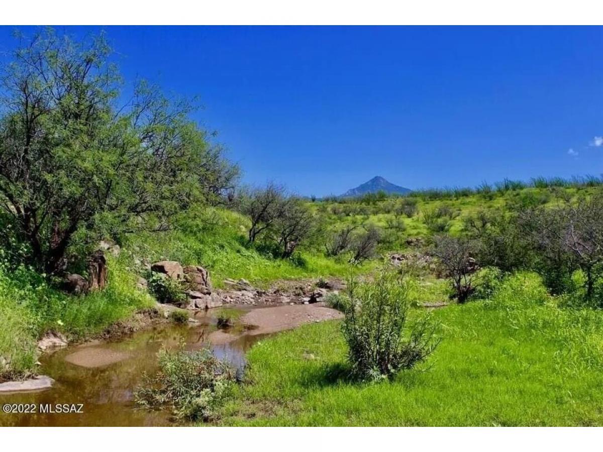 Picture of Residential Land For Sale in Rio Rico, Arizona, United States