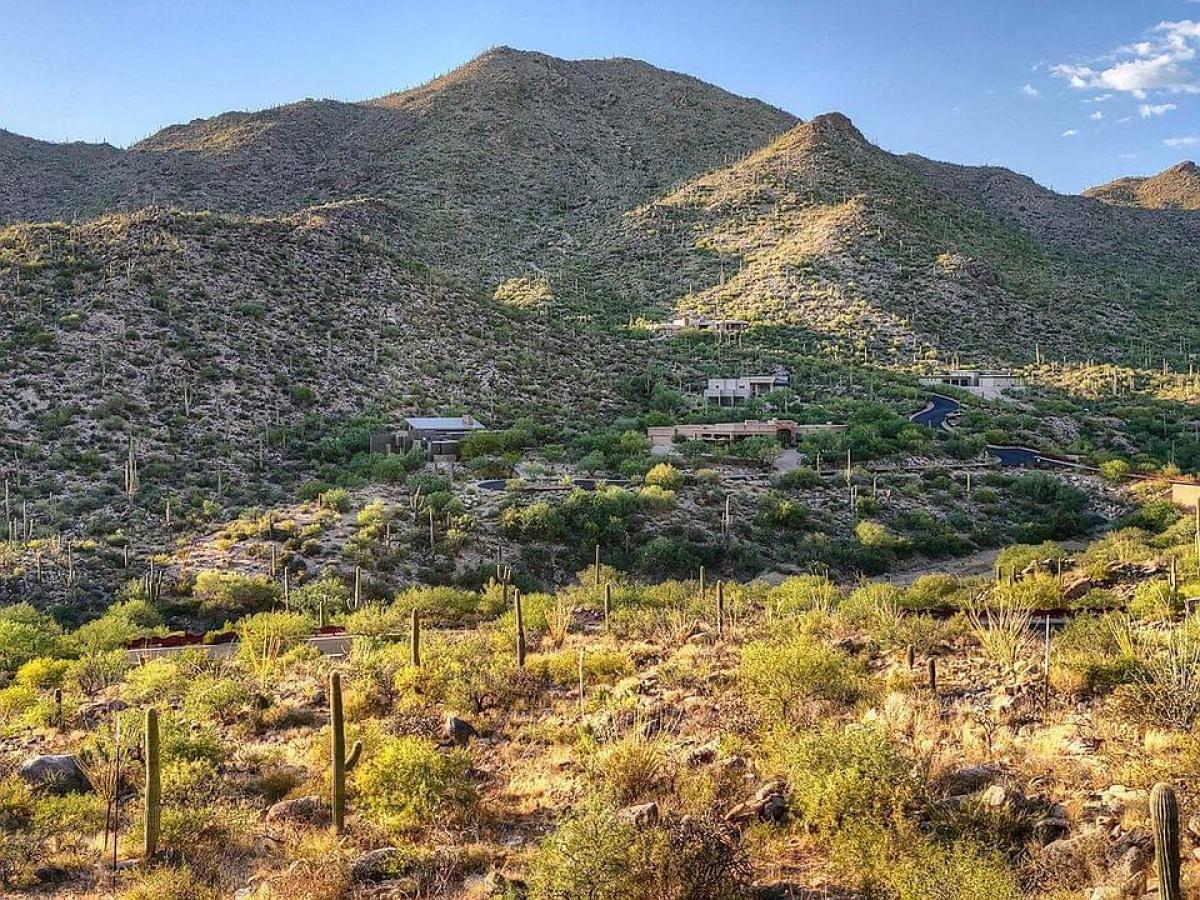 Picture of Residential Land For Sale in Marana, Arizona, United States