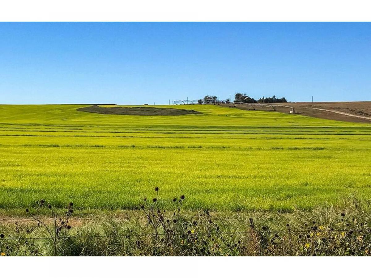 Picture of Farm For Sale in Lyman, Nebraska, United States