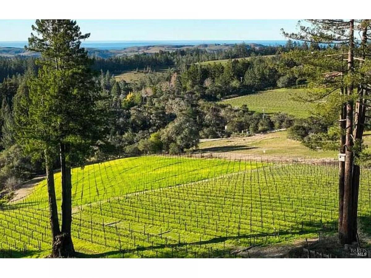 Picture of Residential Land For Sale in Occidental, California, United States