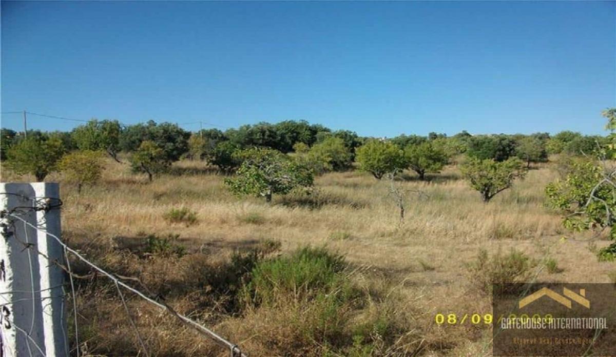 Picture of Residential Land For Sale in Loule, Faro, Portugal