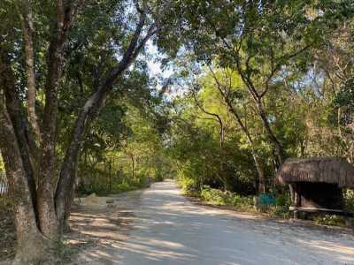 Residential Land For Sale in Playa del Carmen, Mexico