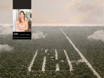 Residential Land For Sale in Tulum, Mexico