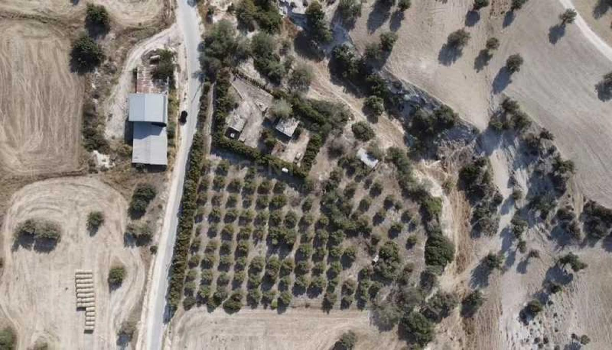 Picture of Residential Land For Sale in Agios Theodoros, Paphos, Cyprus