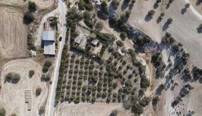 Residential Land For Sale in Agios Theodoros, Cyprus