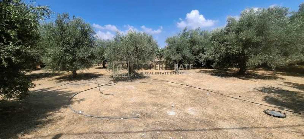 Picture of Residential Land For Sale in Erimi, Limassol, Cyprus