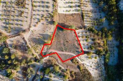 Residential Land For Sale in 