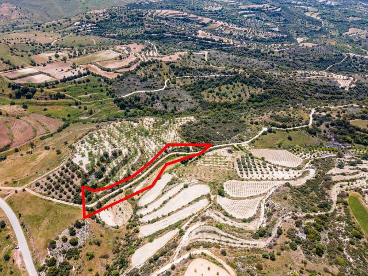 Picture of Residential Land For Sale in Choulou, Paphos, Cyprus