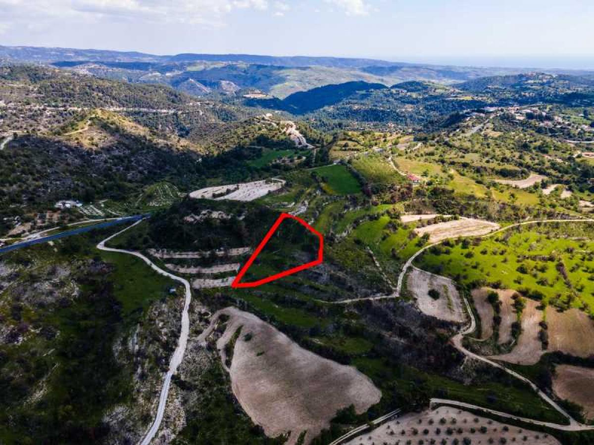 Picture of Residential Land For Sale in Amargeti, Paphos, Cyprus