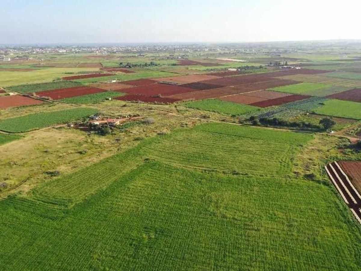 Picture of Residential Land For Sale in Frenaros, Famagusta, Cyprus