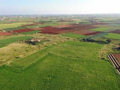 Residential Land For Sale in Frenaros, Cyprus