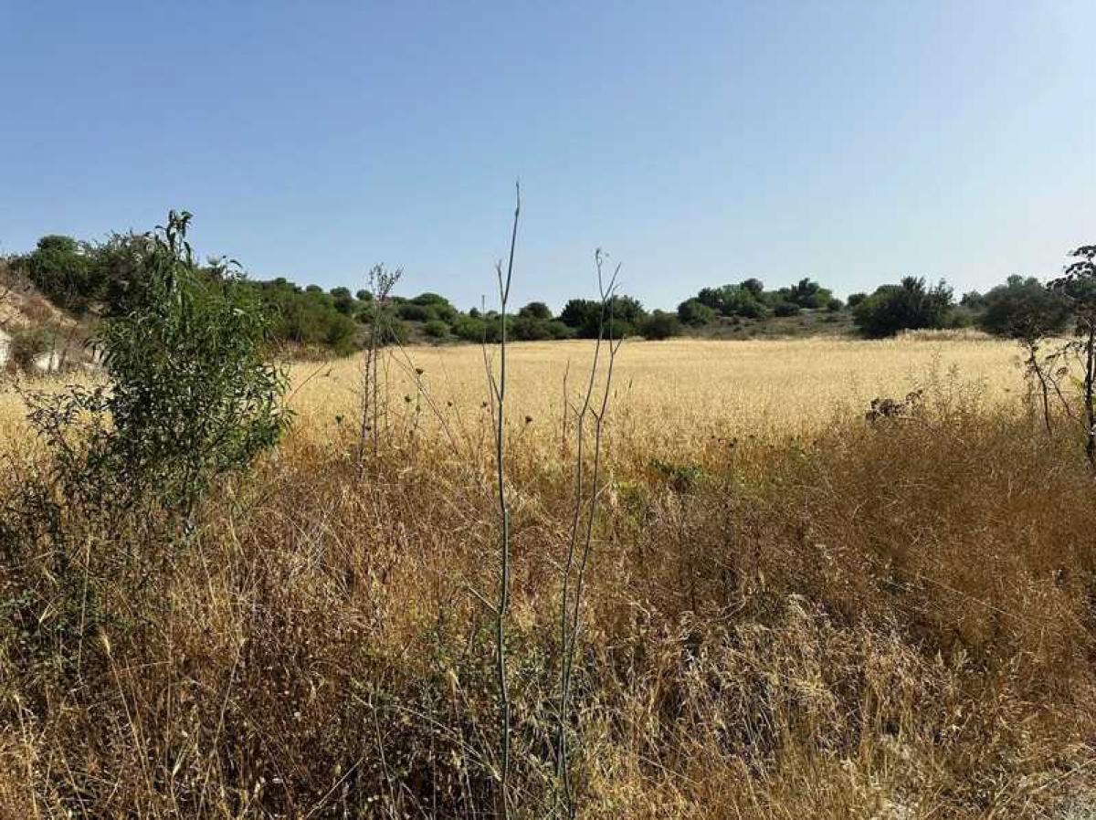 Picture of Residential Land For Sale in Marathounta, Paphos, Cyprus