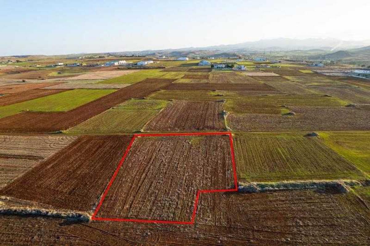 Picture of Residential Land For Sale in Agioi Trimithias, Other, Cyprus