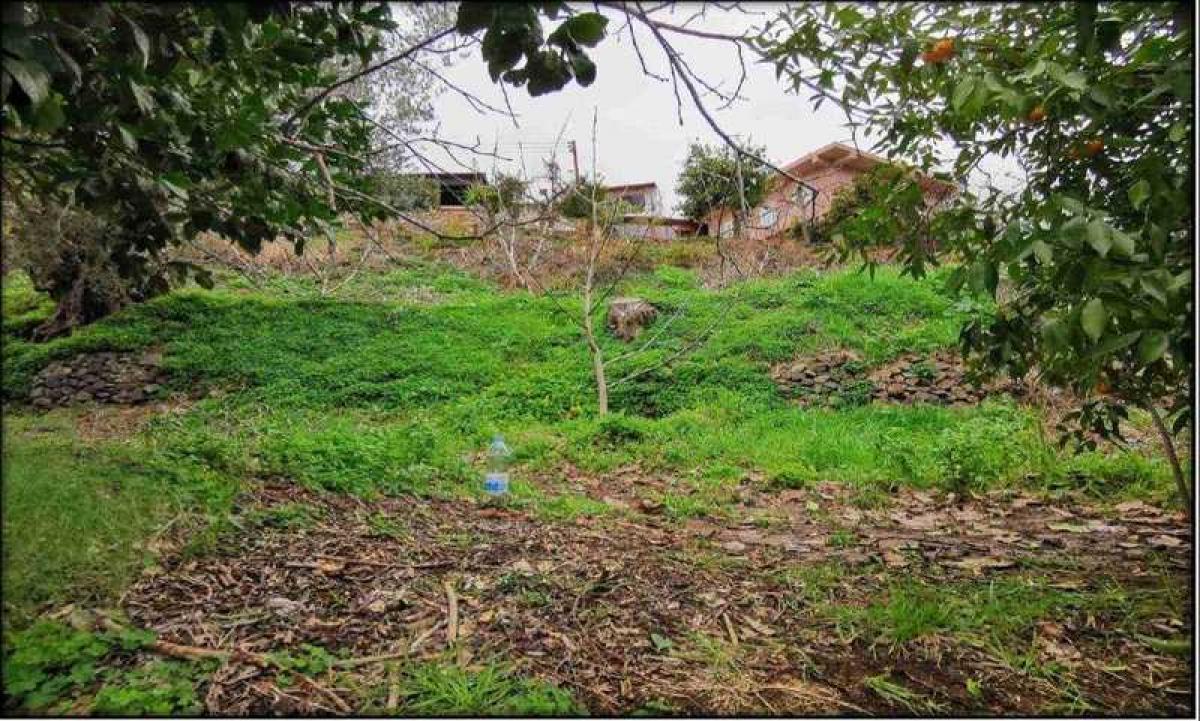 Picture of Residential Land For Sale in Agioi Vavatsinias, Other, Cyprus