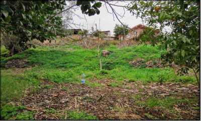 Residential Land For Sale in Agioi Vavatsinias, Cyprus