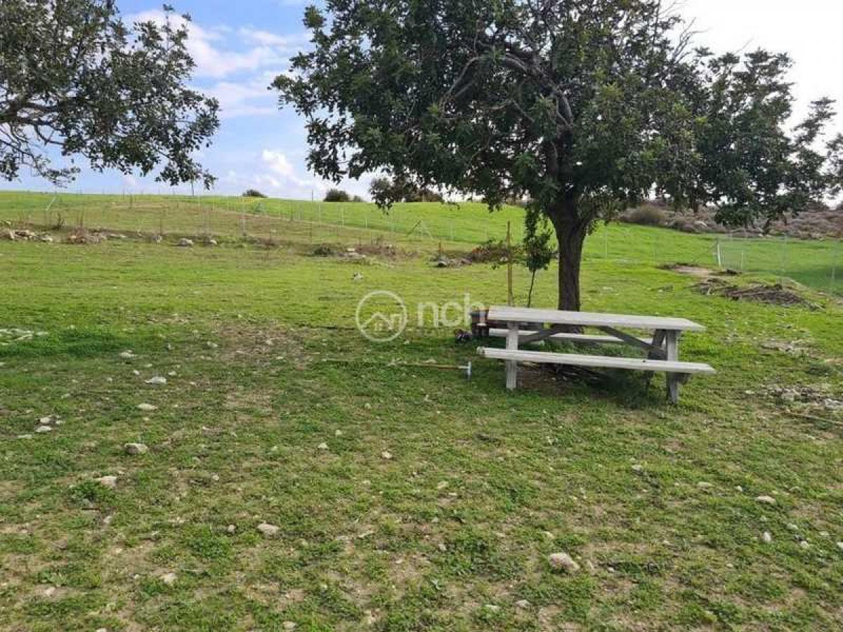 Picture of Residential Land For Sale in Maroni, Other, Cyprus