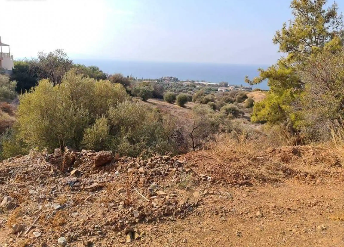 Picture of Residential Land For Sale in Nea Dimmata, Paphos, Cyprus