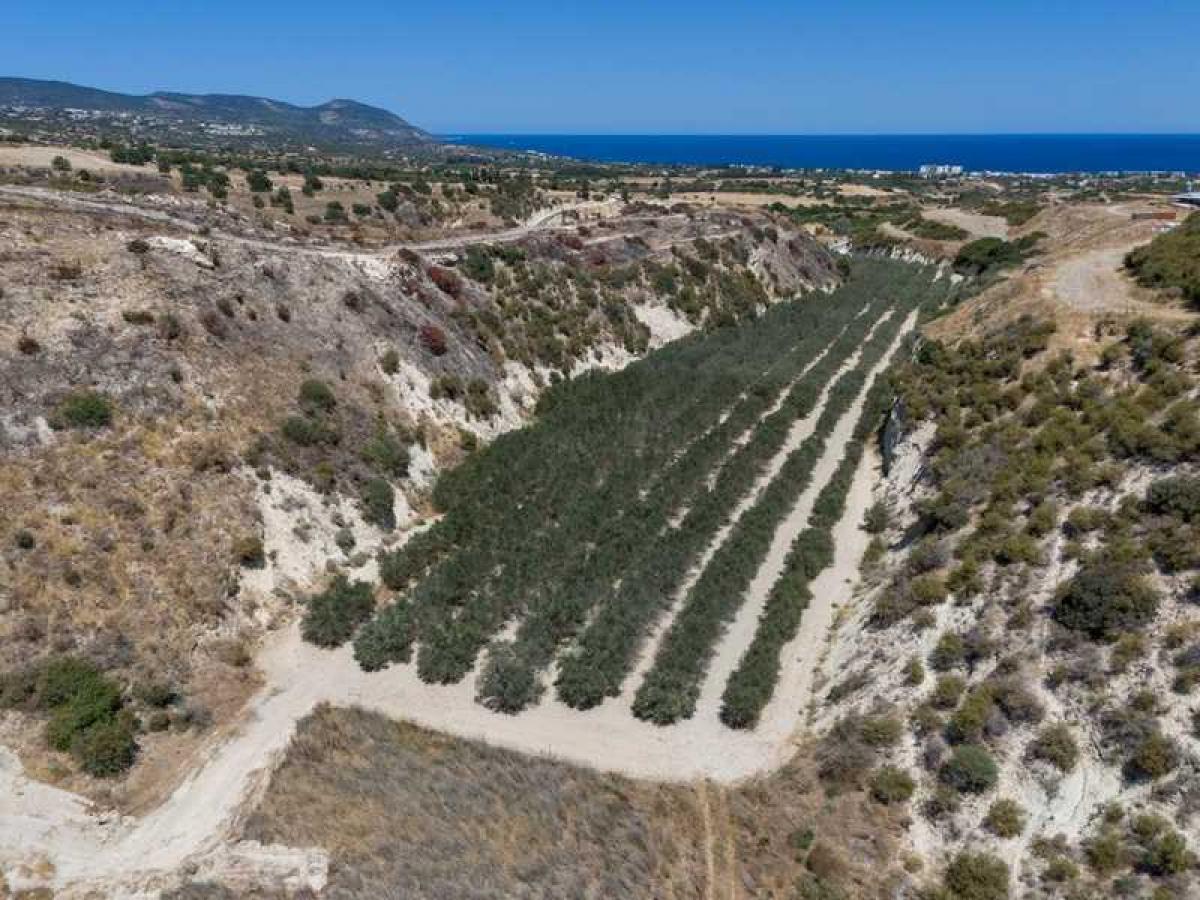 Picture of Residential Land For Sale in Polis Chrysochous, Paphos, Cyprus