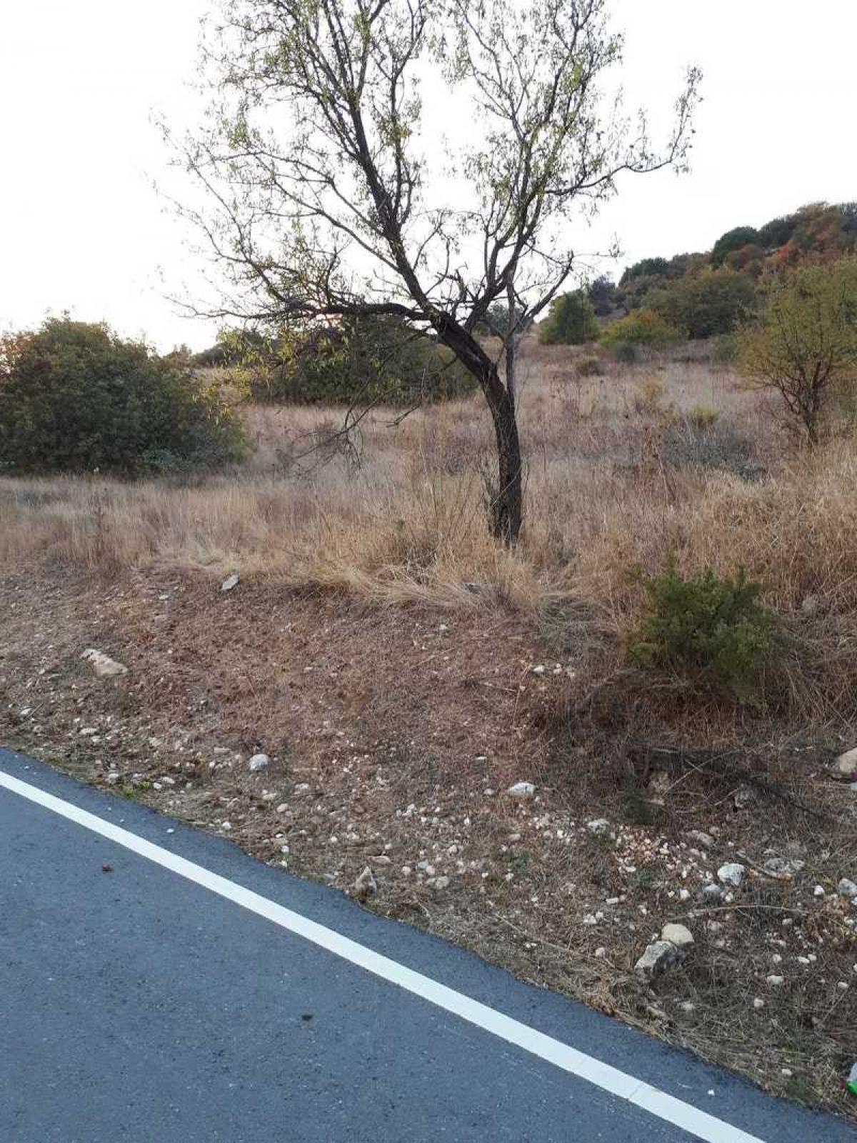 Picture of Residential Land For Sale in Salamiou, Paphos, Cyprus