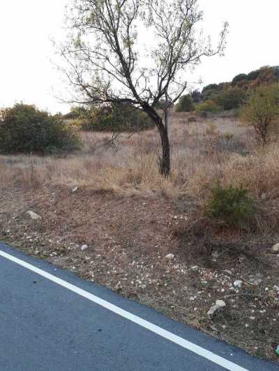 Residential Land For Sale in Salamiou, Cyprus