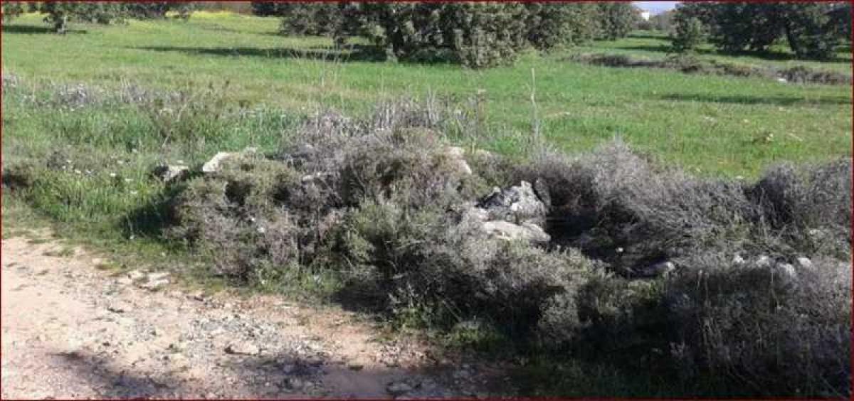 Picture of Residential Land For Sale in Souni, Limassol, Cyprus