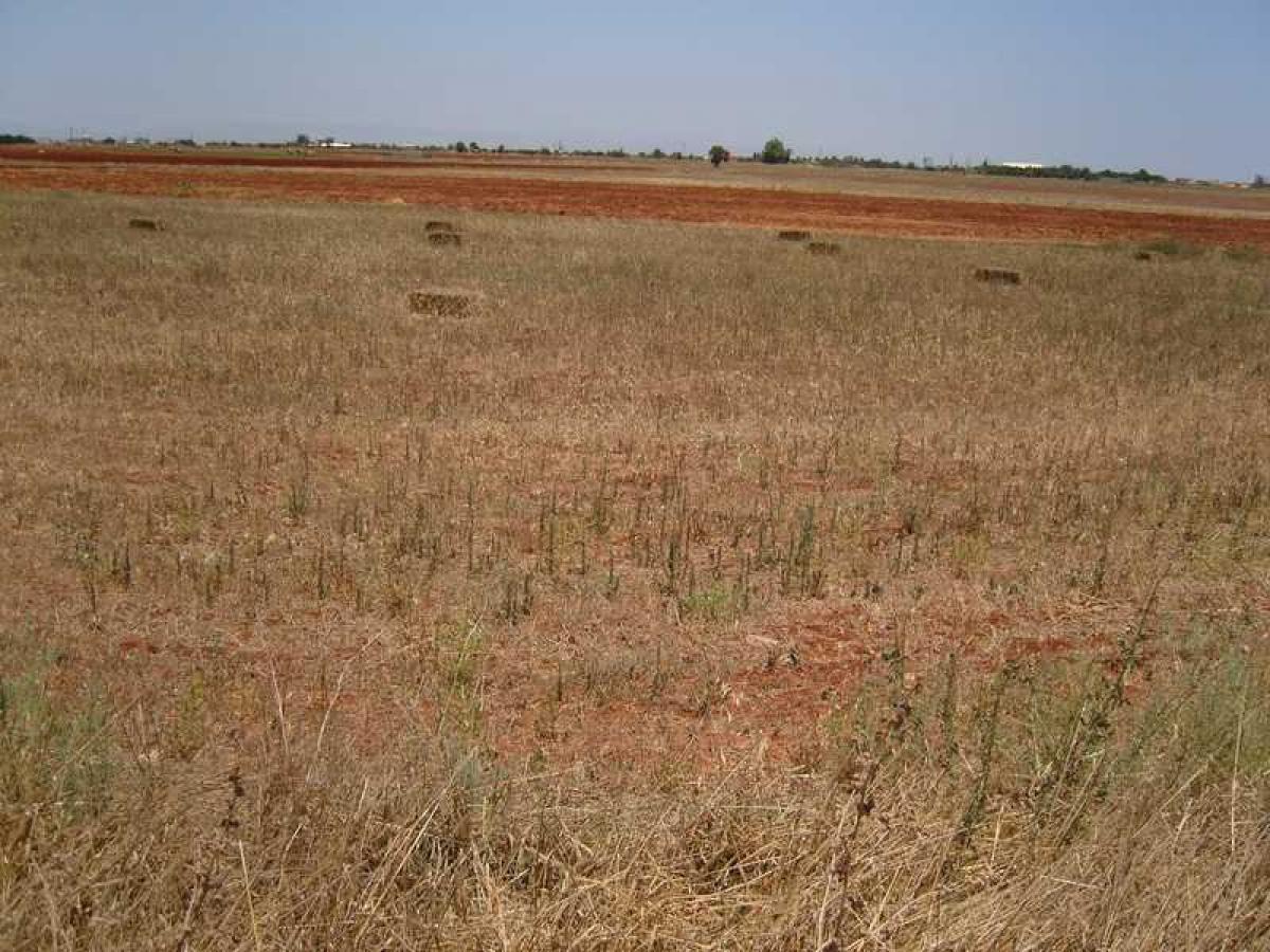 Picture of Residential Land For Sale in Avgorou, Famagusta, Cyprus