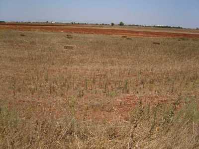 Residential Land For Sale in Avgorou, Cyprus