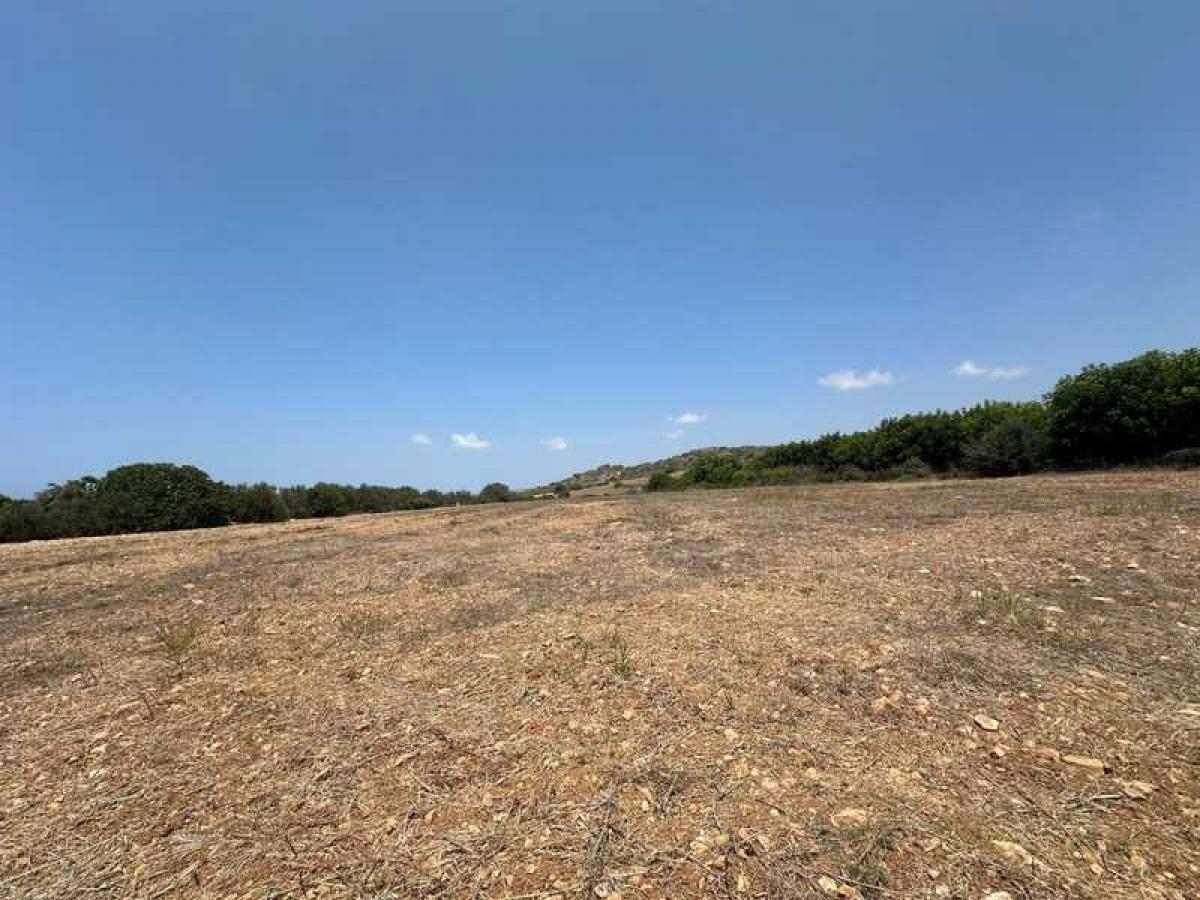 Picture of Residential Land For Sale in Kissonerga, Paphos, Cyprus