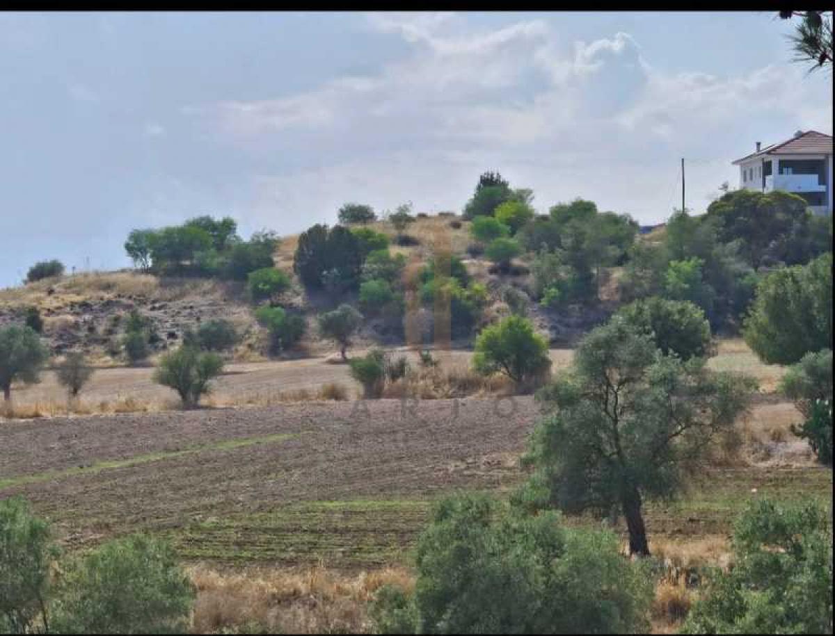 Picture of Residential Land For Sale in Lympia, Other, Cyprus