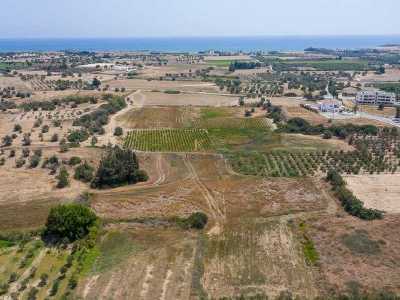 Residential Land For Sale in Mazotos, Cyprus