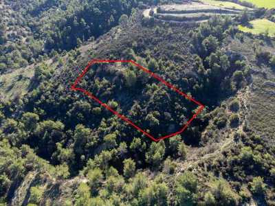 Residential Land For Sale in 