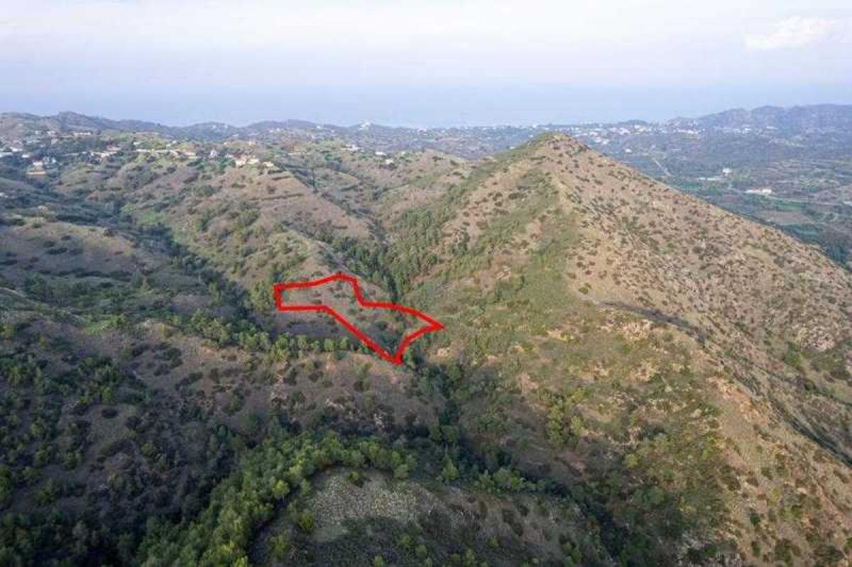 Picture of Residential Land For Sale in Pigenia, Other, Cyprus