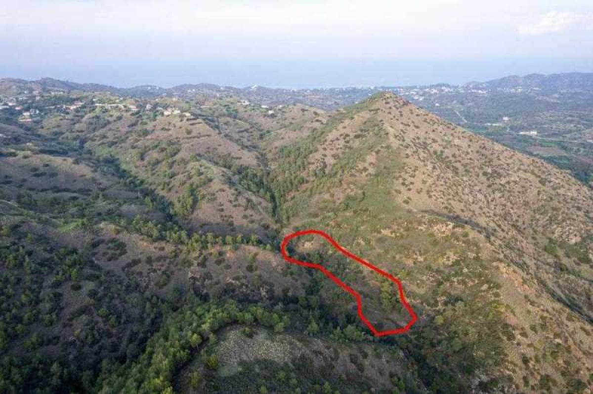 Picture of Residential Land For Sale in Pigenia, Other, Cyprus